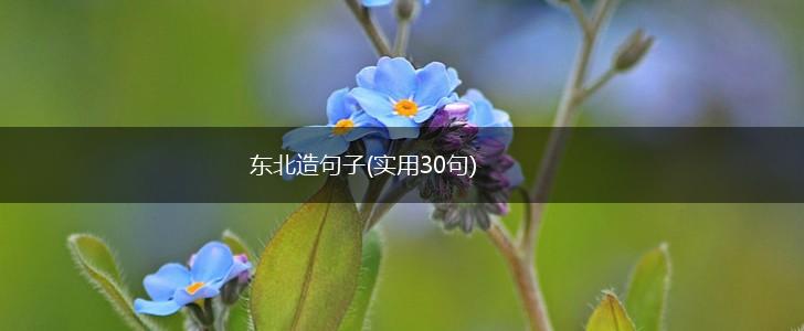 东北造句子(实用30句),第1张