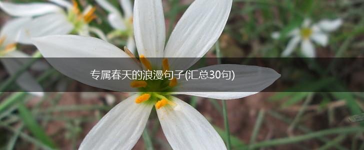 专属春天的浪漫句子(汇总30句),第1张