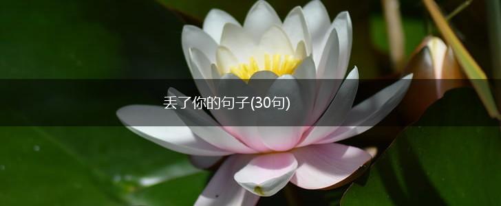 丢了你的句子(30句),第1张