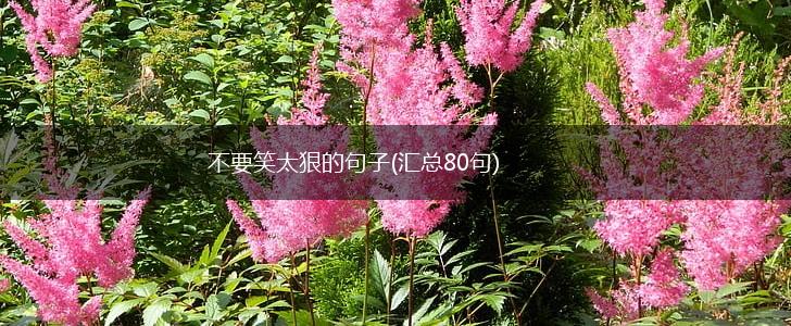 不要笑太狠的句子(汇总80句),第1张
