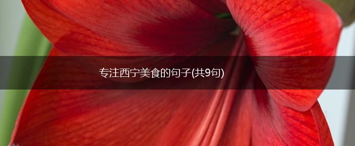 专注西宁美食的句子(共9句),第1张