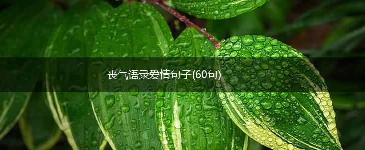 丧气语录爱情句子(60句),第1张