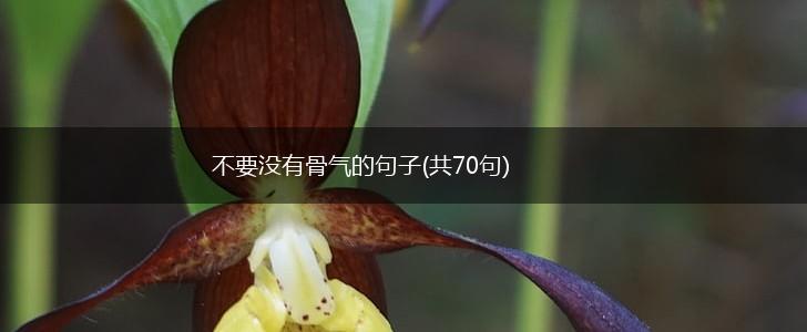 不要没有骨气的句子(共70句),第1张