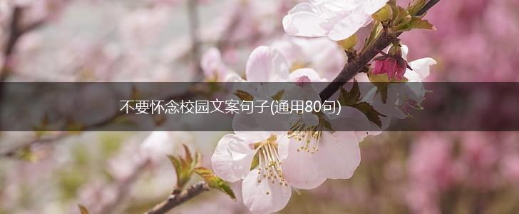 不要怀念校园文案句子(通用80句),第1张