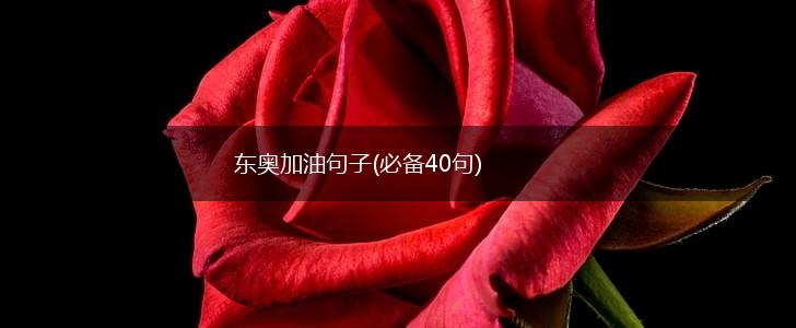 东奥加油句子(必备40句),第1张