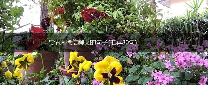 与情人微信聊天的句子(推荐80句),第1张