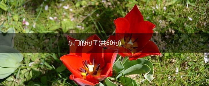 东门的句子(共60句),第1张