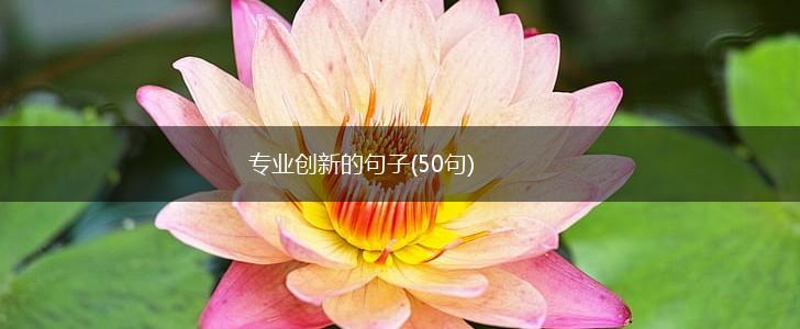 专业创新的句子(50句),第1张