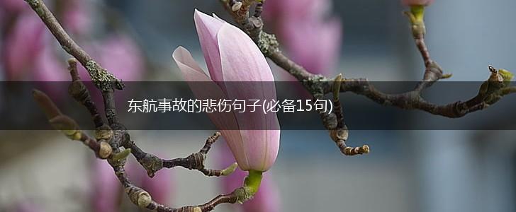 东航事故的悲伤句子(必备15句),第1张