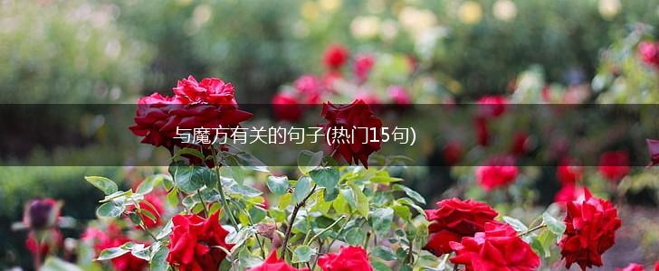 与魔方有关的句子(热门15句),第1张