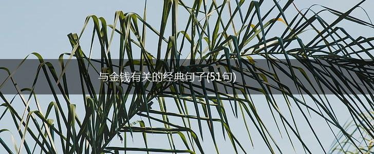 与金钱有关的经典句子(51句),第1张