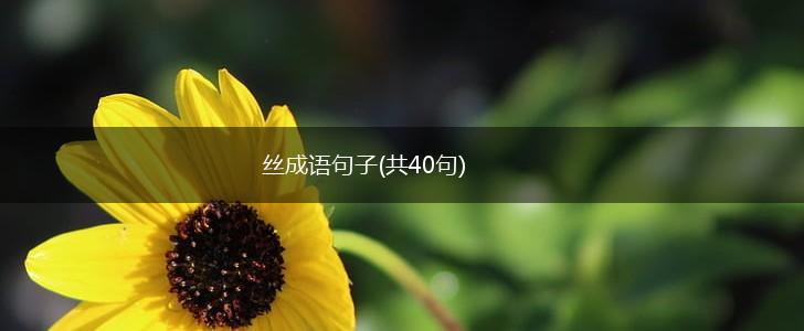 丝成语句子(共40句),第1张