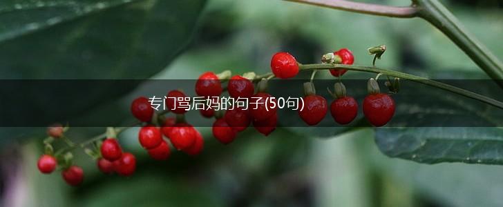 专门骂后妈的句子(50句),第1张