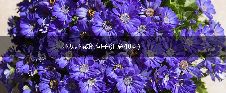 不见不散的句子(汇总40句),第1张