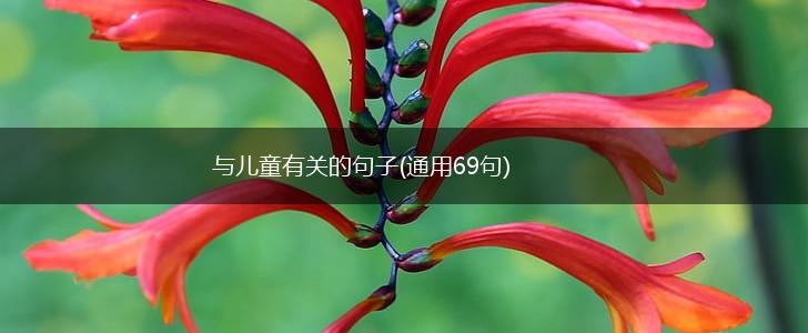 与儿童有关的句子(通用69句),第1张