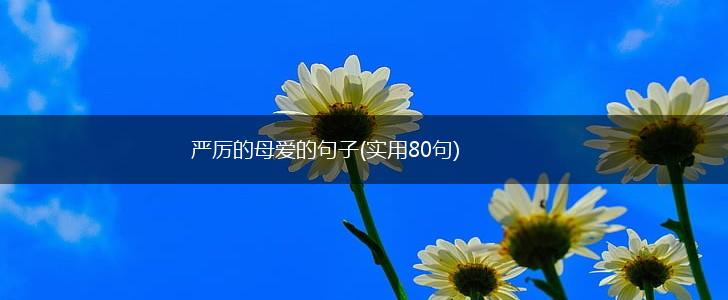 严厉的母爱的句子(实用80句),第1张