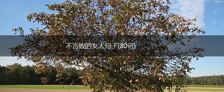 不言败的女人句子(80句),第1张