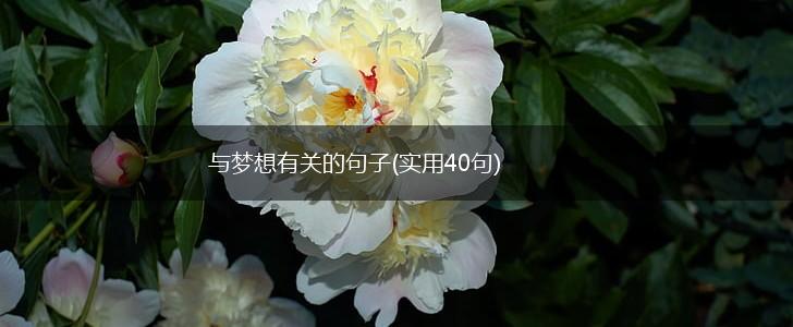 与梦想有关的句子(实用40句),第1张