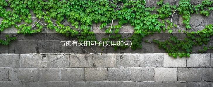 与佛有关的句子(实用80句),第1张