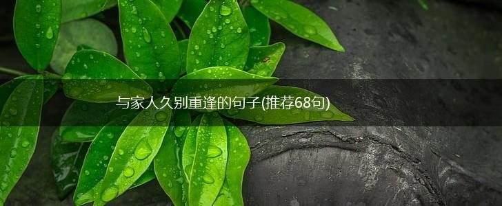 与家人久别重逢的句子(推荐68句),第1张