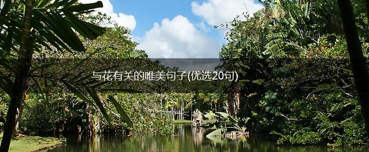 与花有关的唯美句子(优选20句),第1张