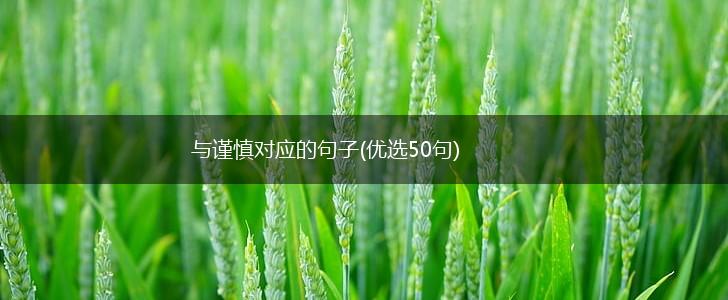 与谨慎对应的句子(优选50句),第1张