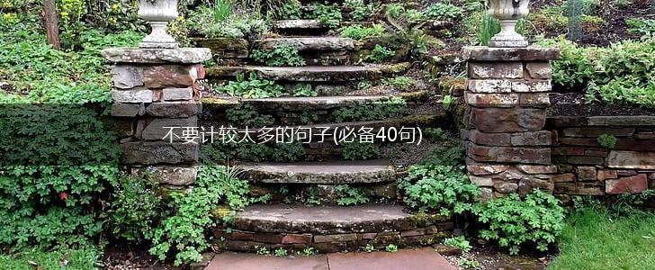 不要计较太多的句子(必备40句),第1张