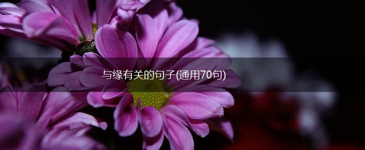 与缘有关的句子(通用70句),第1张