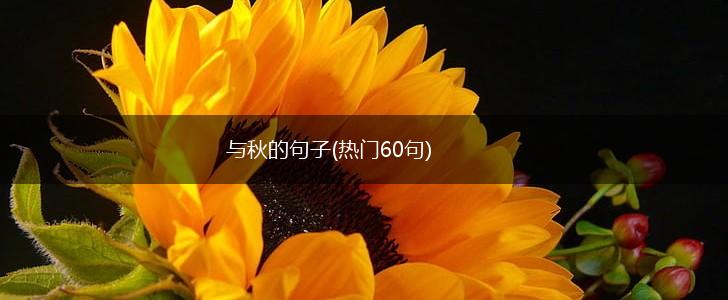 与秋的句子(热门60句),第1张