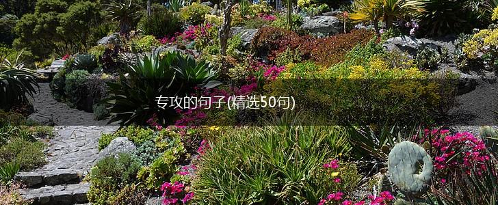 专攻的句子(精选50句),第1张