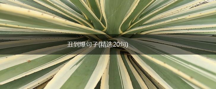 丑到爆句子(精选20句),第1张
