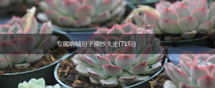 专属呐喊句子摘抄大全(71句),第1张