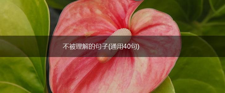 不被理解的句子(通用40句),第1张