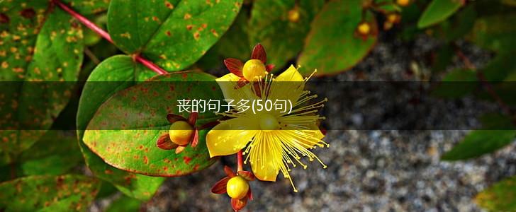 丧的句子多(50句),第1张
