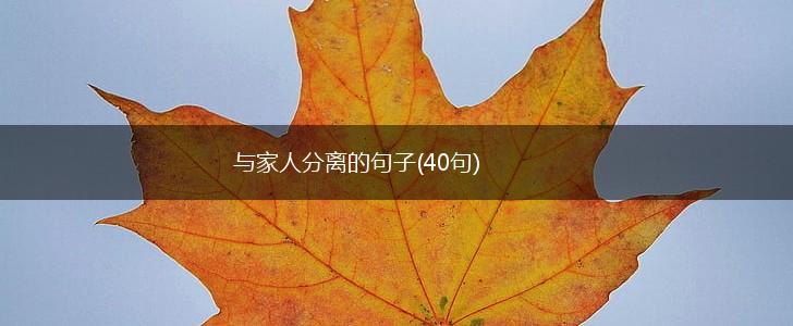 与家人分离的句子(40句),第1张