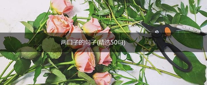 两口子的句子(精选50句),第1张