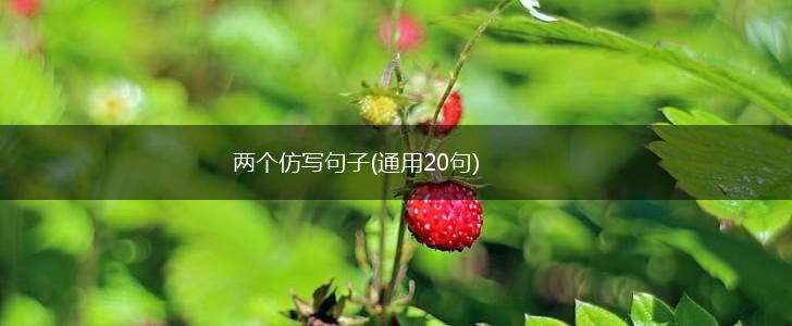 两个仿写句子(通用20句),第1张