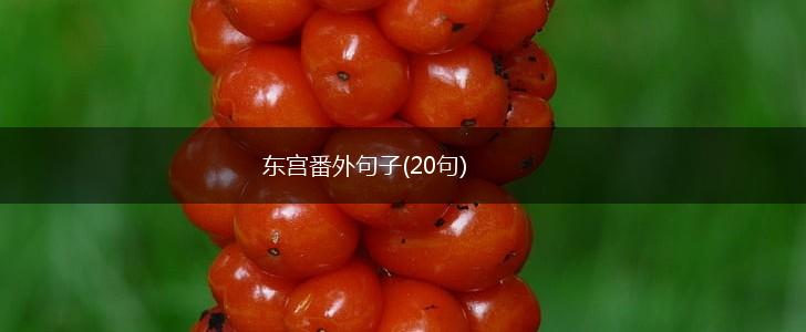 东宫番外句子(20句),第1张