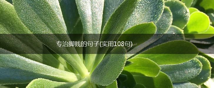 专治脚贱的句子(实用108句),第1张