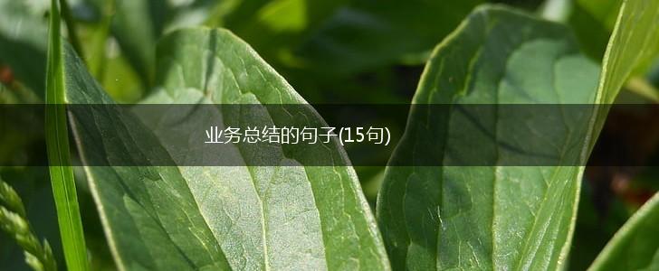 业务总结的句子(15句),第1张