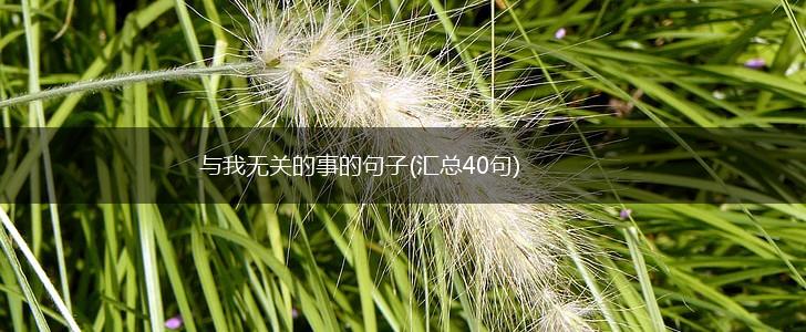 与我无关的事的句子(汇总40句),第1张