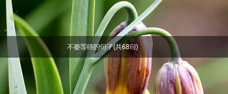 不要等待的句子(共68句),第1张