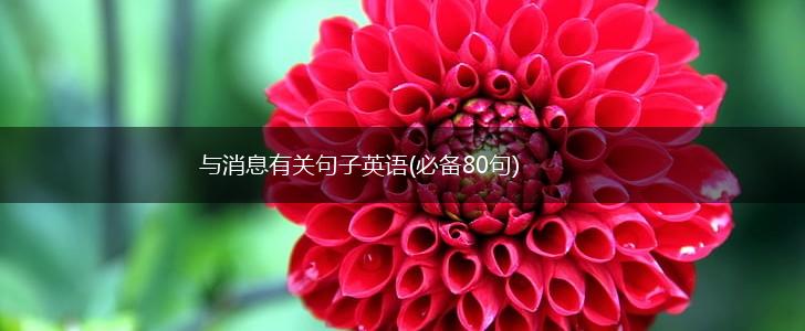 与消息有关句子英语(必备80句),第1张