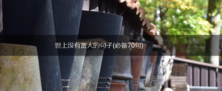 世上没有富人的句子(必备70句),第1张