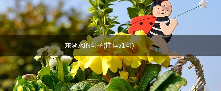 东湖水的句子(推荐51句),第1张