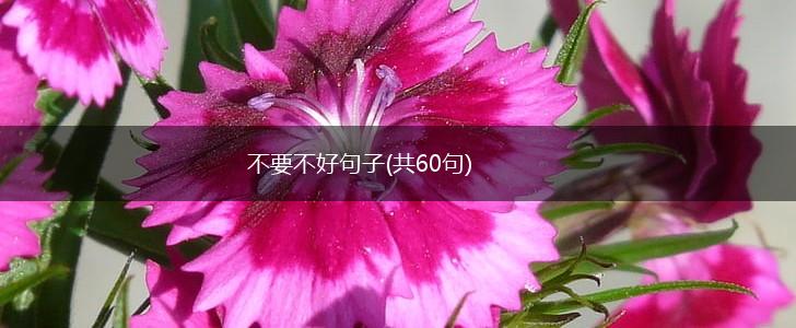 不要不好句子(共60句),第1张