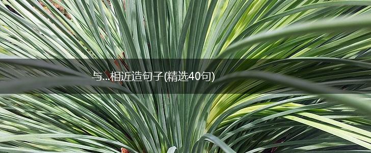 与...相近造句子(精选40句),第1张