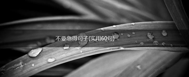 不要急得句子(实用60句),第1张