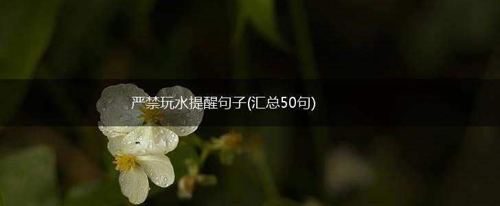严禁玩水提醒句子(汇总50句),第1张