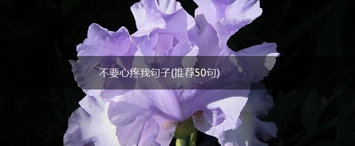 不要心疼我句子(推荐50句),第1张